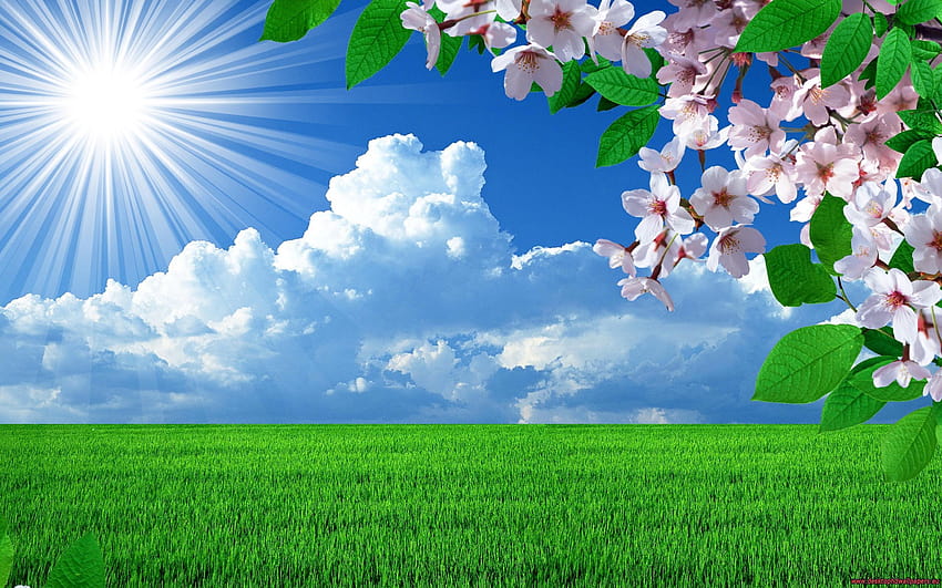 Nature Spring Flowers Landscapes Trees Sky Landscape Backgrounds, lanscape background HD wallpaper