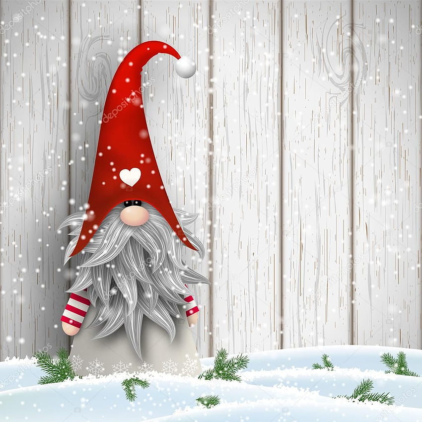 2620 Christmas Gnomes Stock Photos  Free  RoyaltyFree Stock Photos from  Dreamstime