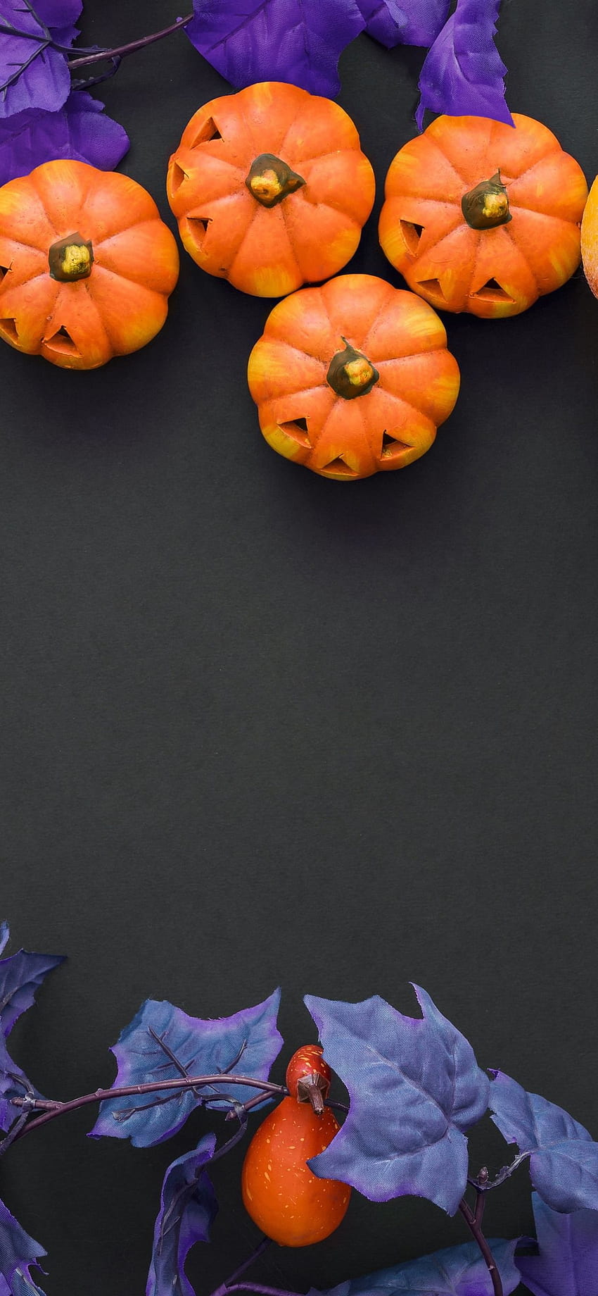 Halloween, pumpkin, berries, decoration 1242x2688 iPhone 11 Pro/XS Max , background, halloween iphone 11 HD phone wallpaper