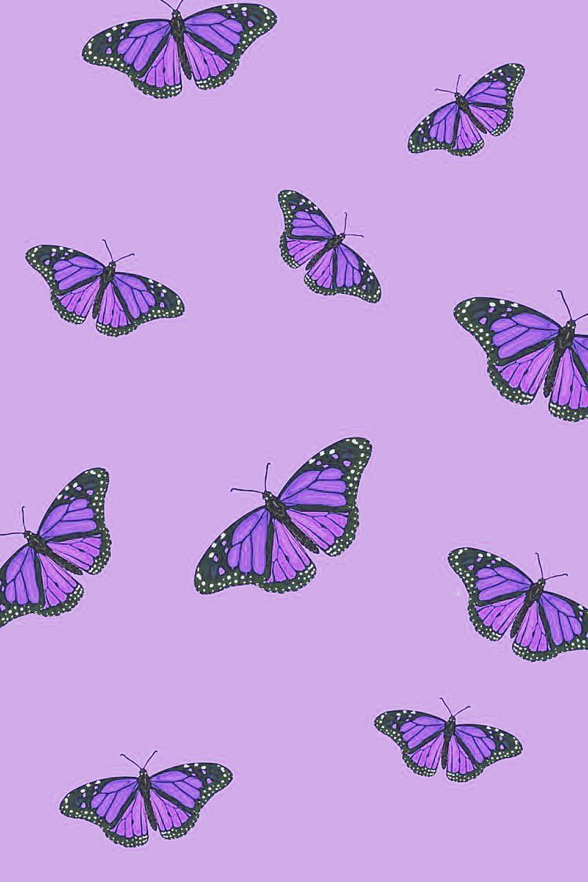 Pin auf l i l a c, ästhetischer lila Schmetterling HD-Handy-Hintergrundbild