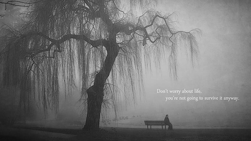 Nature Lonely Grayscale Lakes Bench, nature loneliness HD wallpaper