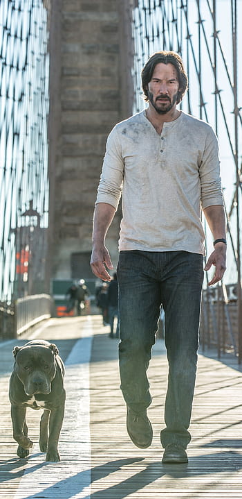 what was the dog in john wick