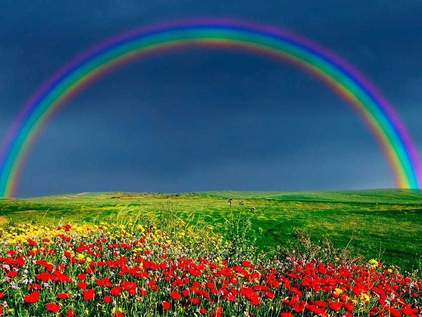 Rainbow Nature, doble arco iris fondo de pantalla | Pxfuel