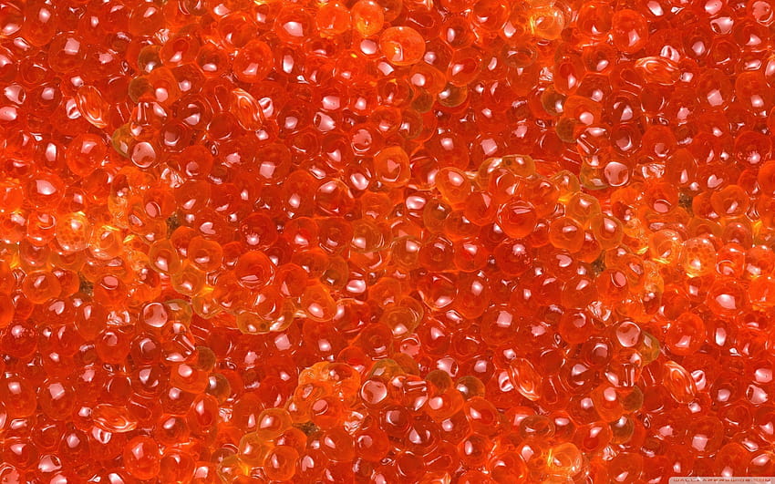 Caviar 6 HD wallpaper