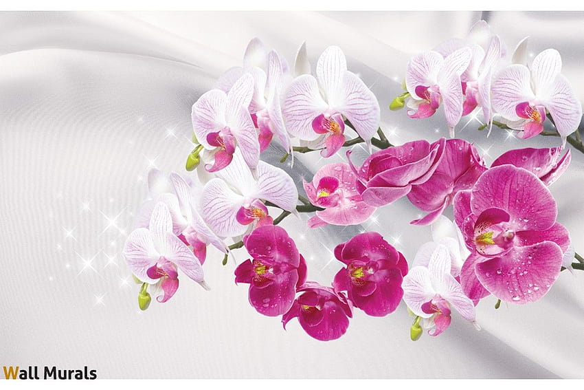 galhos orquídeas brancas e rosa fundos seda papel de parede HD