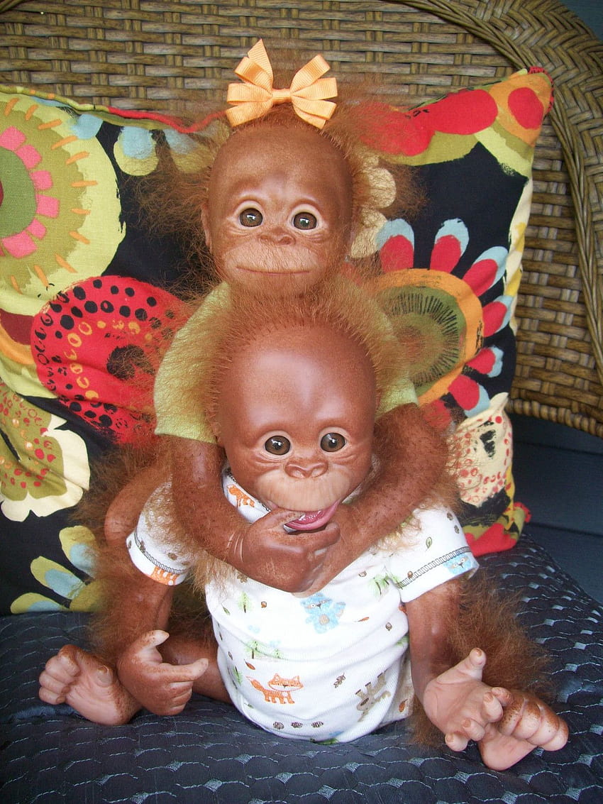 Ugly Baby Monkey HD phone wallpaper