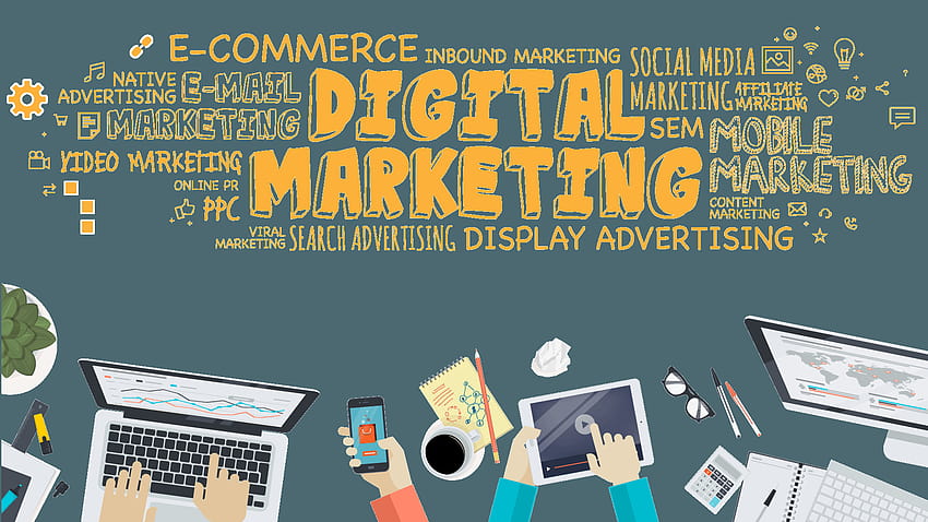 Our Courses, digital marketing HD wallpaper