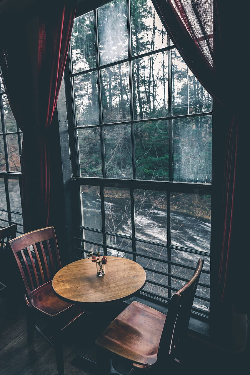 밖을 내다보는 Zofia Teucrium, 아늑한 가을 카페 창 HD 전화 배경 화면