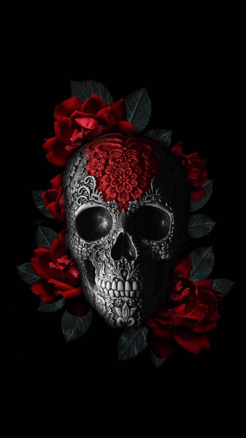 頭蓋骨の花,赤,頭蓋骨,骨,静物画,フォント,イラスト,花びら,植物,闇,花, 花頭骨 HD電話の壁紙