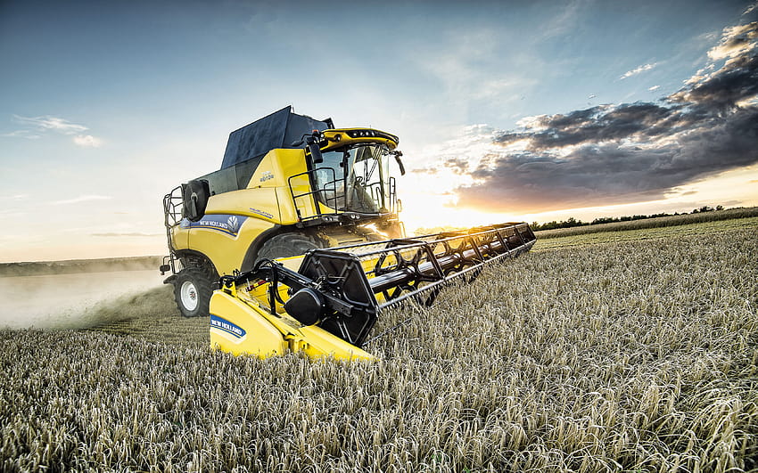 New Holland CR8 80 Relevation, wheat harvest, 2019 combines , agricultural machinery, R, grain harvesting, combine harvester, Combine in the field, agriculture, New Holland Agriculture, yellow combine with HD wallpaper
