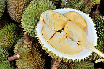 Durian HD wallpapers | Pxfuel