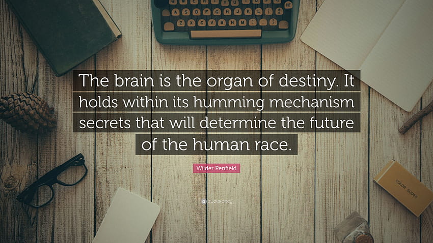 Wilder Penfield Quote: “The brain is the organ of destiny. It HD wallpaper
