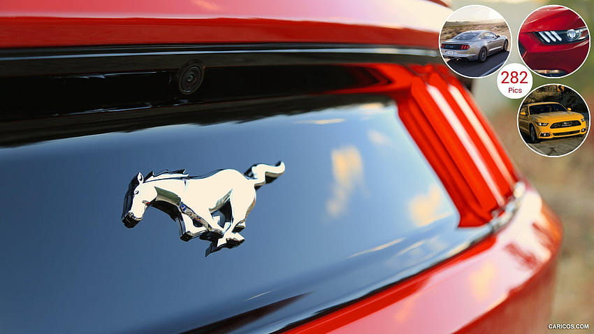 2015 Ford Mustang EcoBoost, mustang logo HD wallpaper