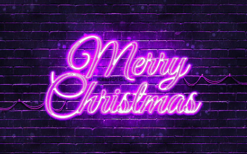 Violet neon Merry Christmas, Violet brickwall, Happy New Years Concept, Violet Merry Christmas, kreatif, dekorasi Natal, Selamat Natal, dekorasi xmas dengan resolusi 3840x2400. Kualitas tinggi, natal neon Wallpaper HD