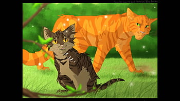 Warrior Cats Collage, blackstar, lionblaze, cats, shadowclan, millie ...