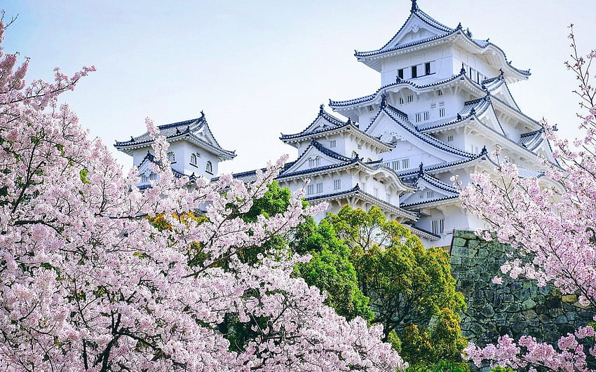 castle, Asian architecture, Cherry blossom, Landscape, Himeji Castle / and Mobile & HD wallpaper