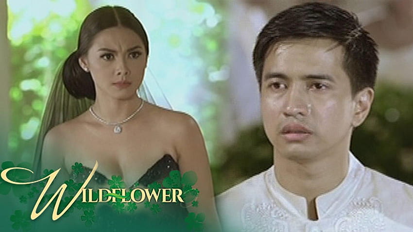 Wildflower: Ivy Confronts Arnaldo, Wildflower Drama Hd Wallpaper 