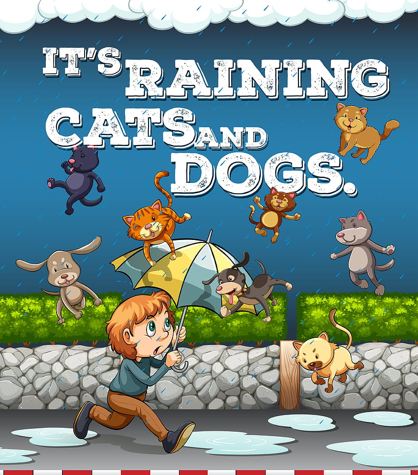 Idiom poster with raining cats and dogs ...vecteezy HD phone wallpaper