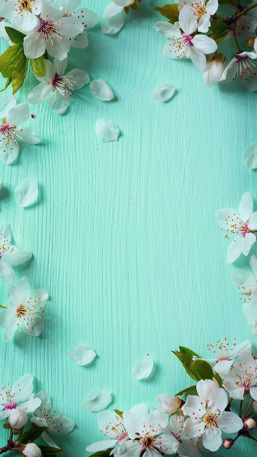 Blue Spring iPhone Background. 716776096923634309, cute blue spring HD phone wallpaper
