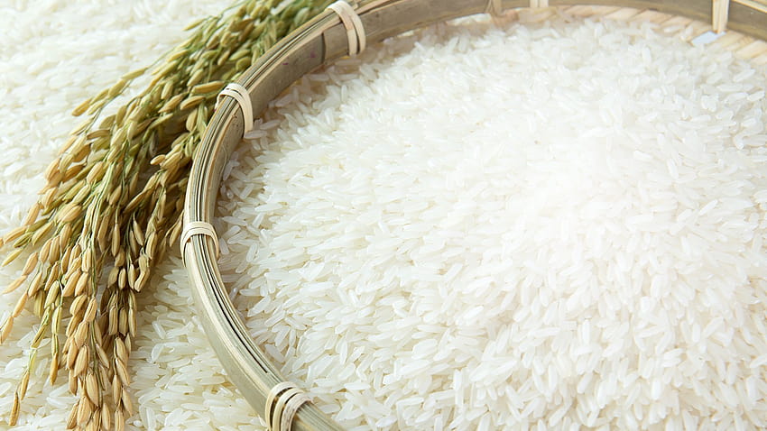 Basmati Rice Images – Browse 73,824 Stock Photos, Vectors, and Video |  Adobe Stock