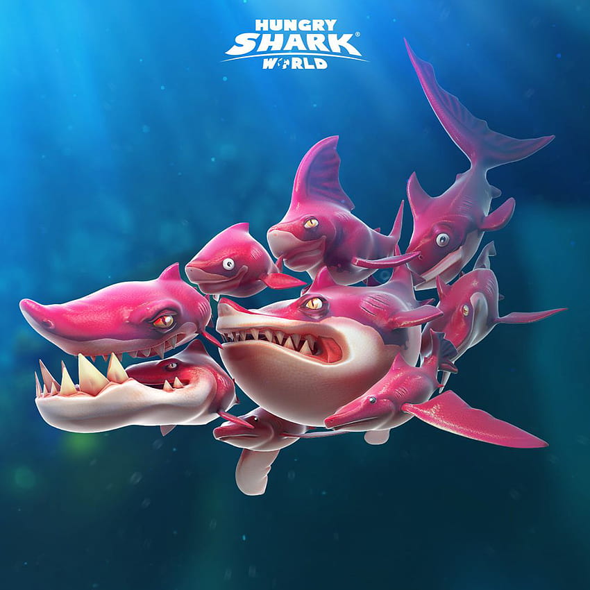 Frenzy, hungry shark world HD phone wallpaper