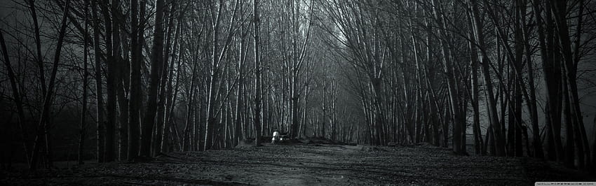 Karanlık Orman Çift Monitör, tüyler ürpertici orman HD duvar kağıdı