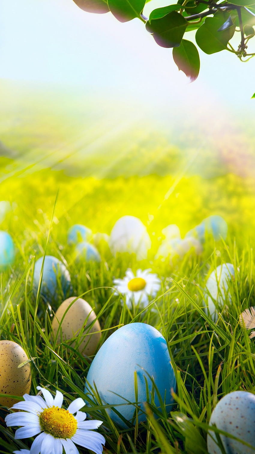 Spring Android, easter 2020 HD phone wallpaper | Pxfuel
