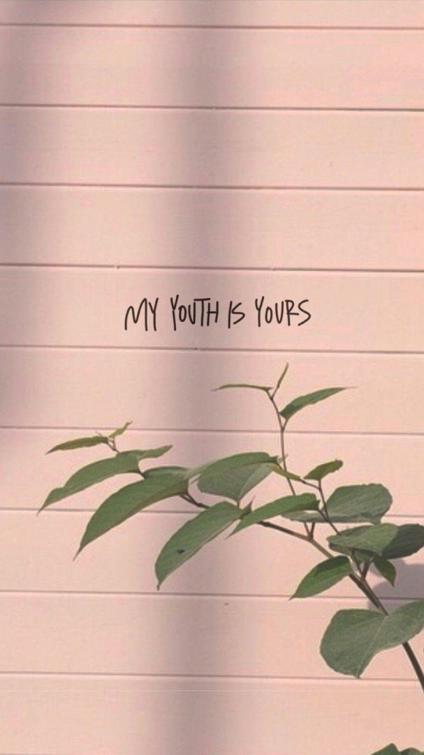 My youth is yours., phobia tumblr HD phone wallpaper