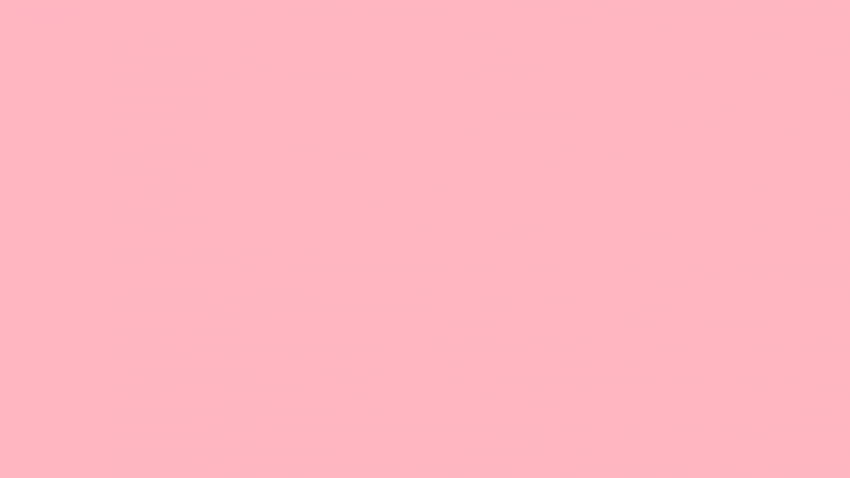 라이트 핑크 단색 배경 Becuo [2048x2048], 모바일 및 태블릿, 색상 미학 HD 월페이퍼
