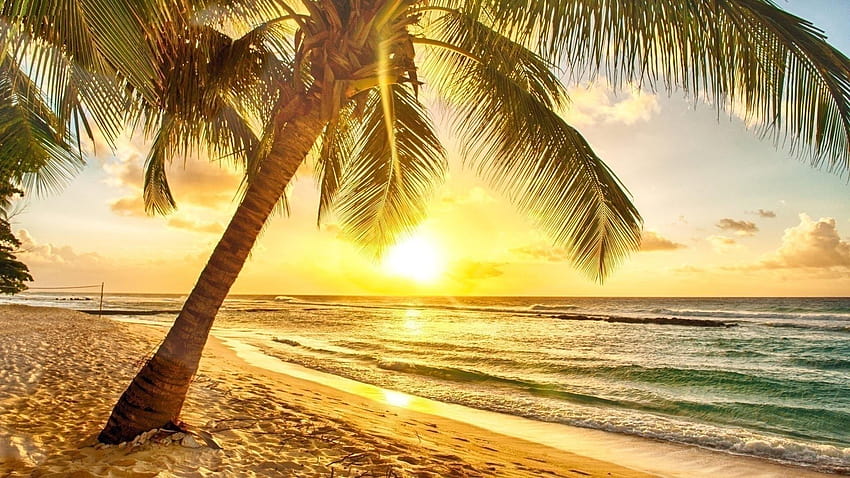 Sunrise on beach HD wallpaper | Pxfuel