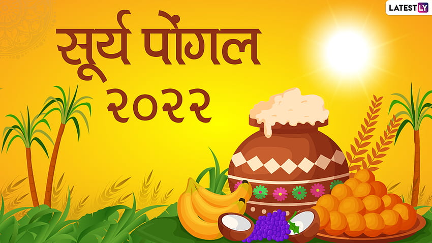 Surya Pongal 2022 : To wish your loved ones on Surya Pongal, share these Hindi WhatsApp Wishes, GIF Greetings and HD wallpaper