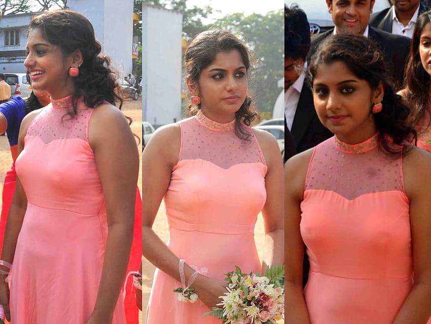 Meera Nandan sieht in ihrem rosa Kleid sehr heiß aus HD-Hintergrundbild