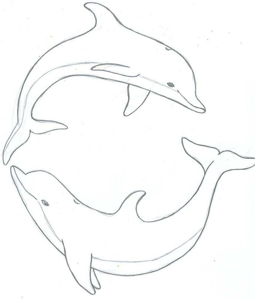 Delfinzeichnungen, ClipArt, ClipArt in der Clipart-Bibliothek HD-Handy-Hintergrundbild