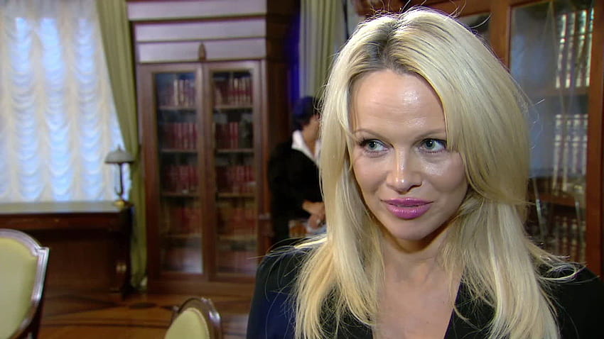 Pamela Anderson Meets with Putin's Chief of Staff on Animal Rights HD  wallpaper | Pxfuel