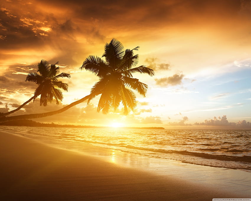 Amazing Ultra Backgrounds ... wide, impressive sunset HD wallpaper | Pxfuel