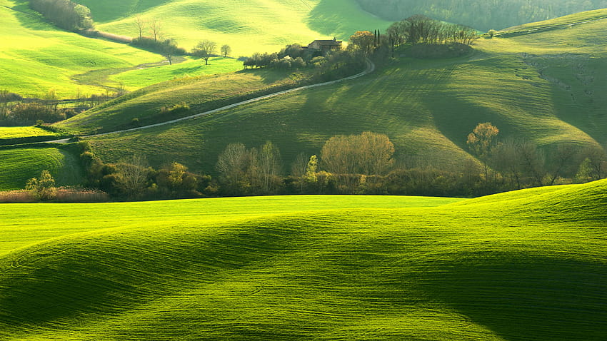Прекрасни дървета и трева в зелената долина 2560x1440 HD тапет