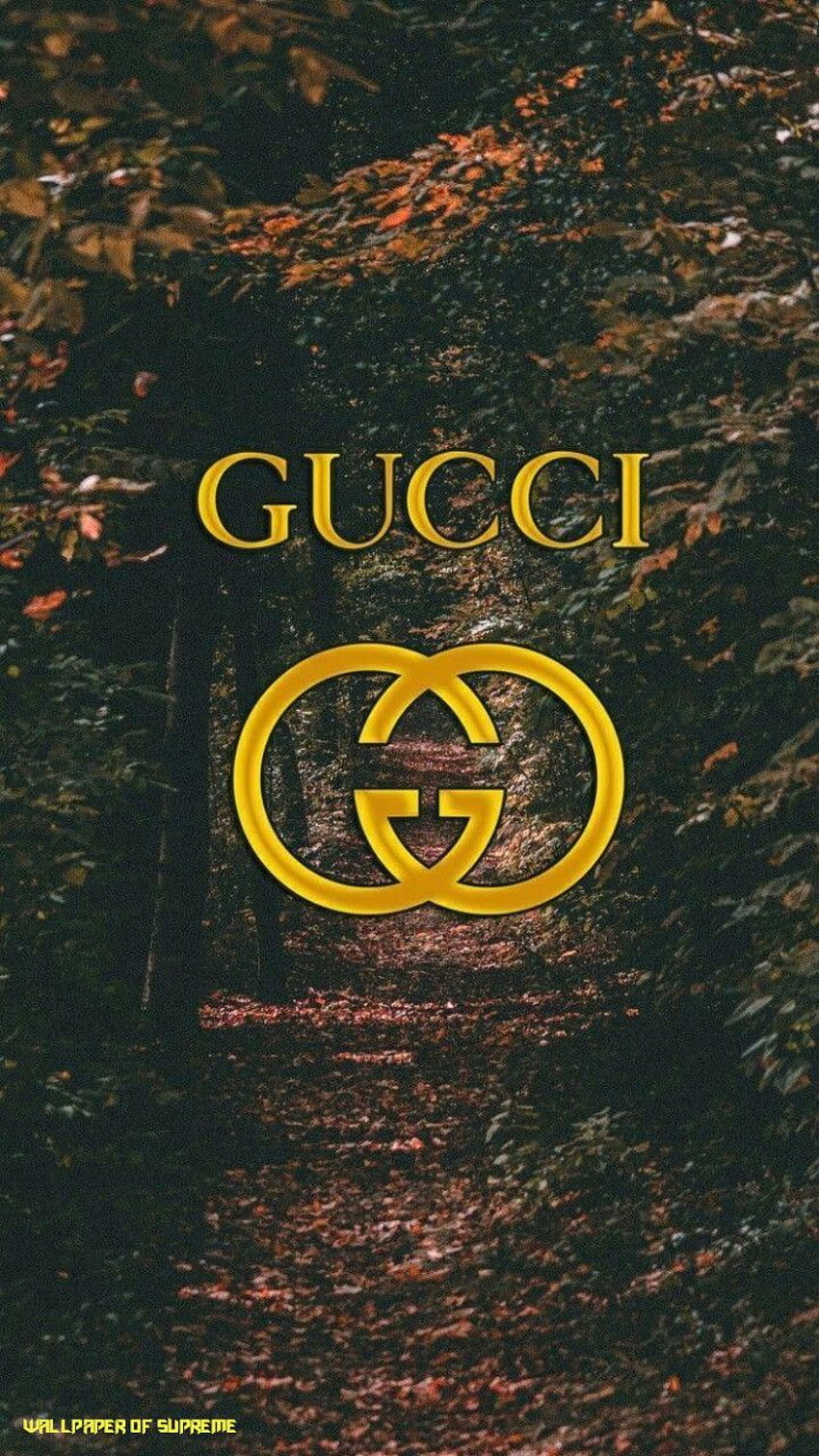 A.J.Sweeney on Gucci, gucci and louis vuitton HD phone wallpaper