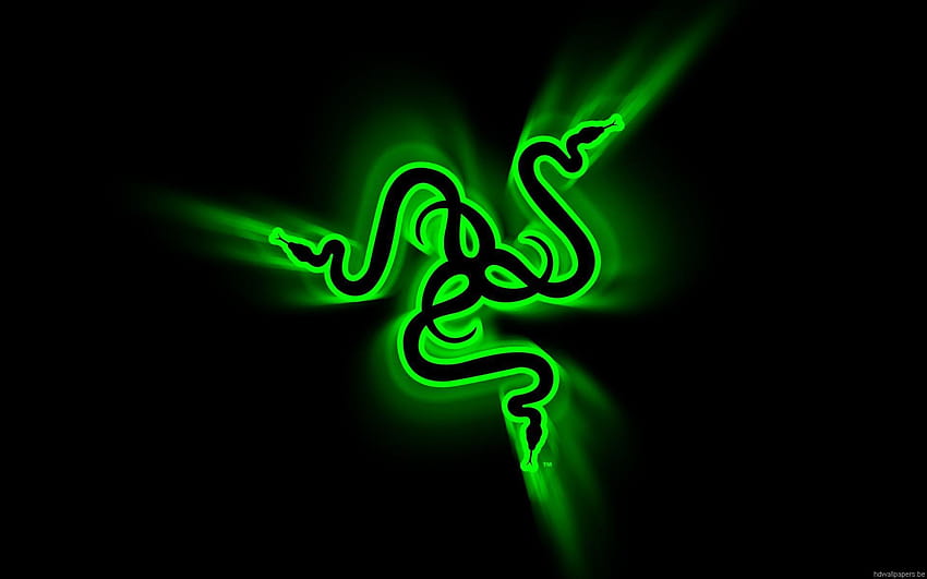 Black with green snakes and, black green HD wallpaper