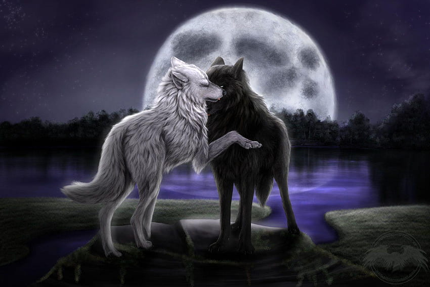 Lobo anime, lobos fondo de pantalla | Pxfuel