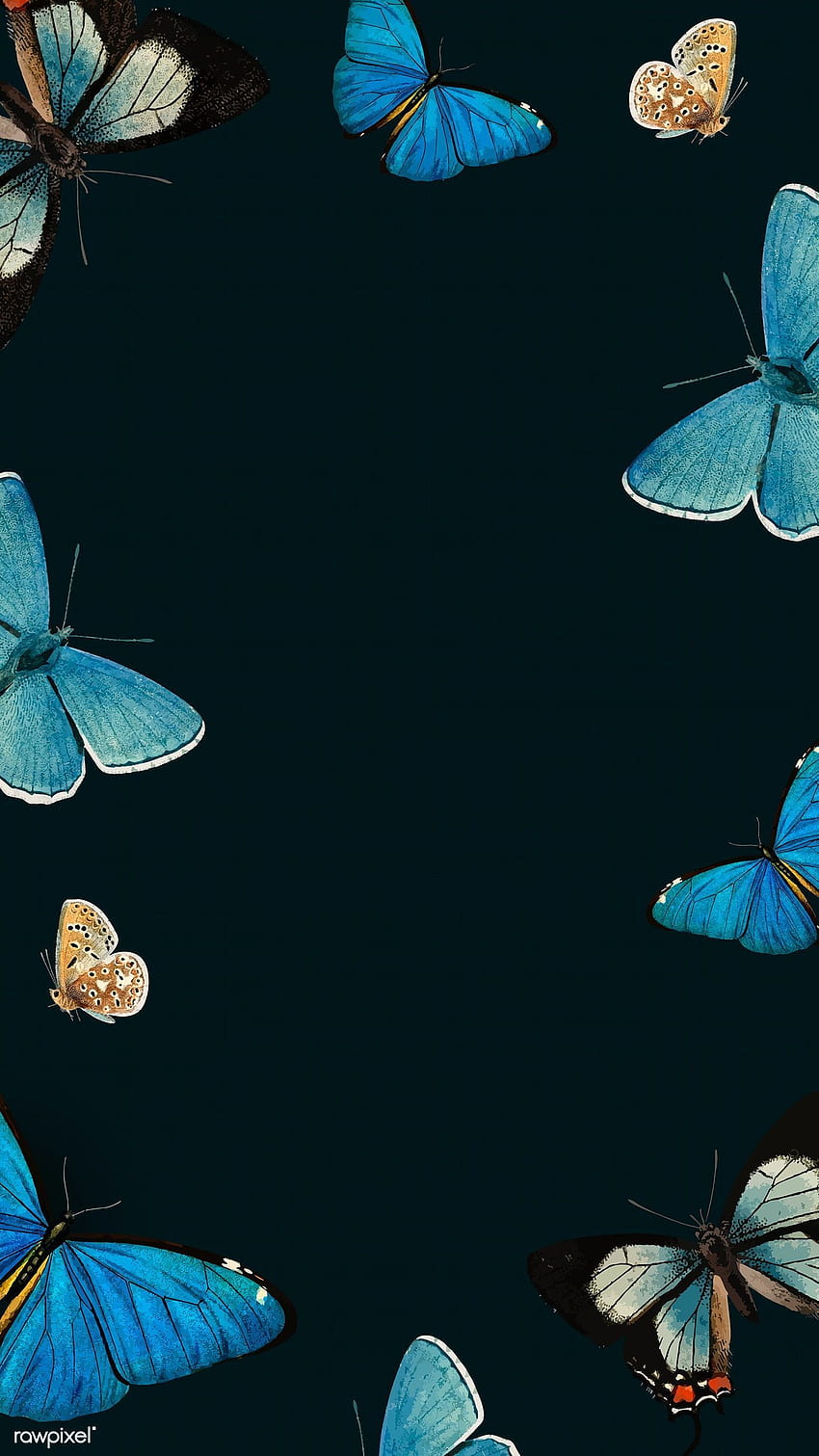 Black Backgrounds Butterfly Emoji HD phone wallpaper | Pxfuel
