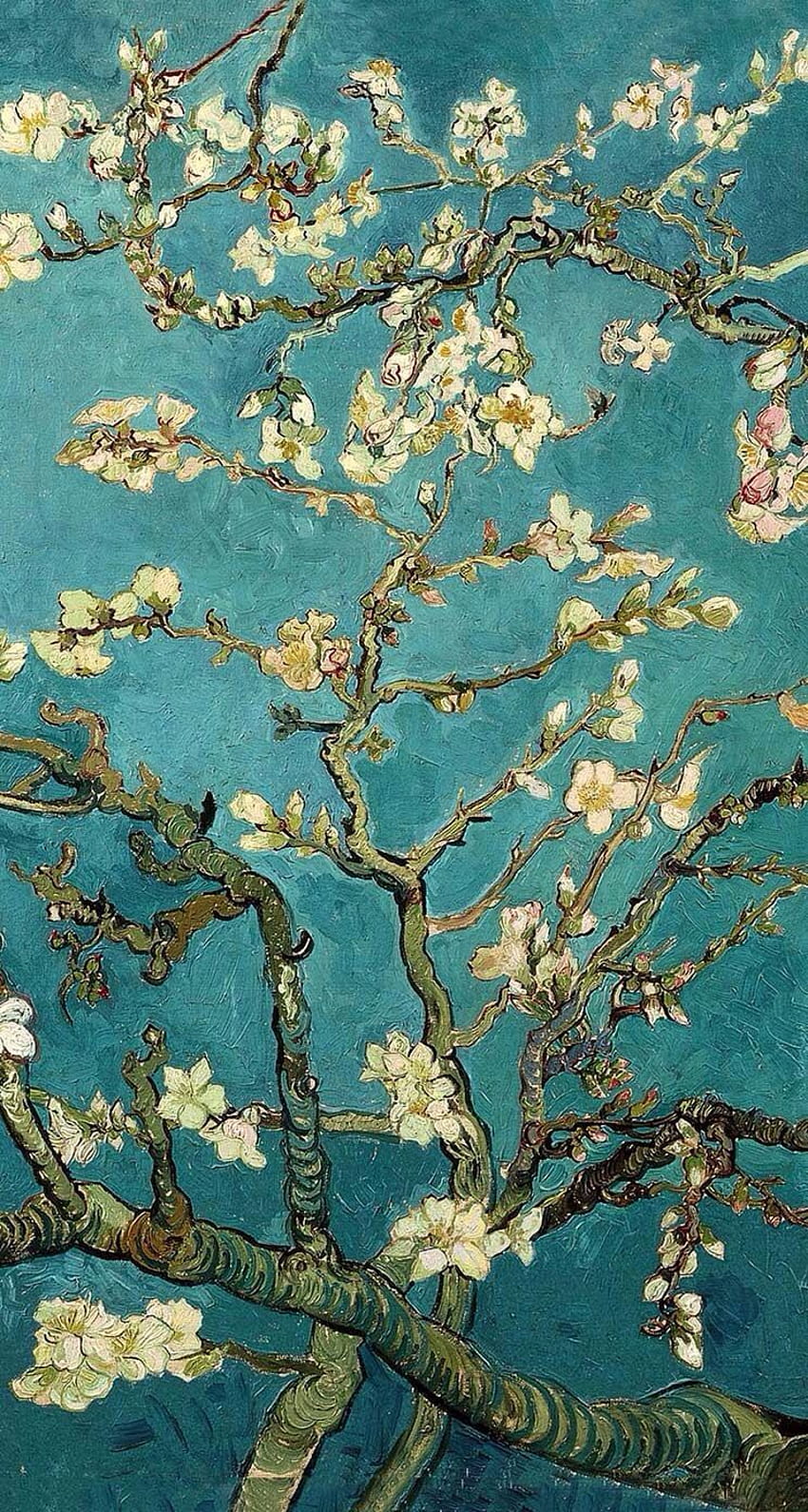 Çiçek Açan Badem Ağacı, Vincent van Gogh'un ünlü post empresyonizm güzel sanatlar yağlı boya tablosu. naturematters'tan iPhone Kılıf ve Kapak HD telefon duvar kağıdı
