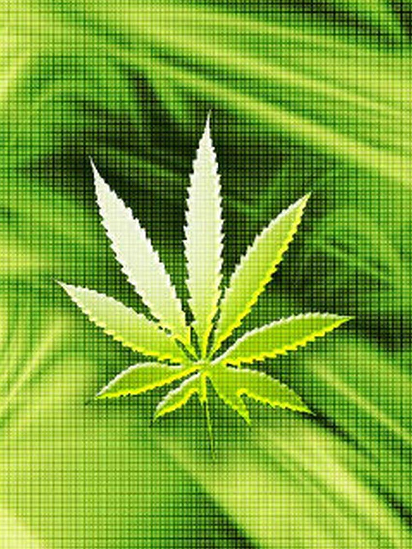 Red Marijuana, leaf, marijuana, red, redmarijuana, HD phone wallpaper |  Peakpx