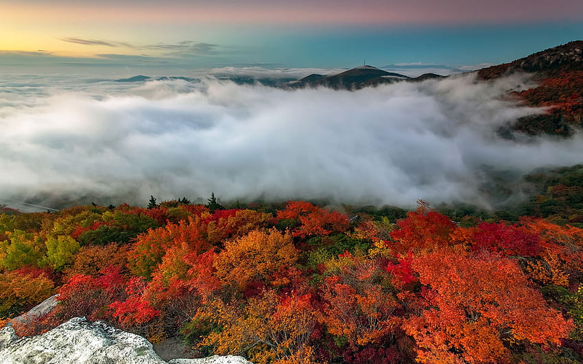 1,821 Asheville Nc Mountains Images, Stock Photos, 3D objects, & Vectors |  Shutterstock