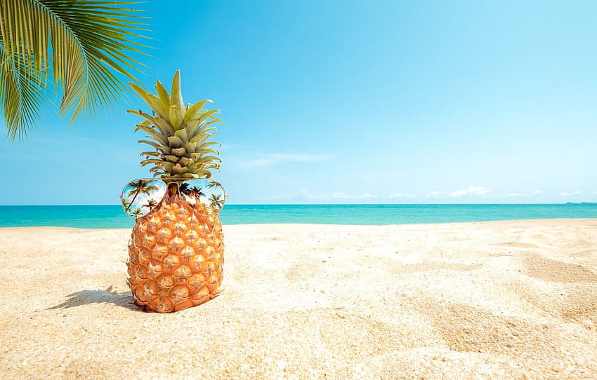 verano ,piña,ananas,fruta,vacaciones,trópicos,caribe,verano,palmera,planta,árbol, verano caribeño fondo de pantalla