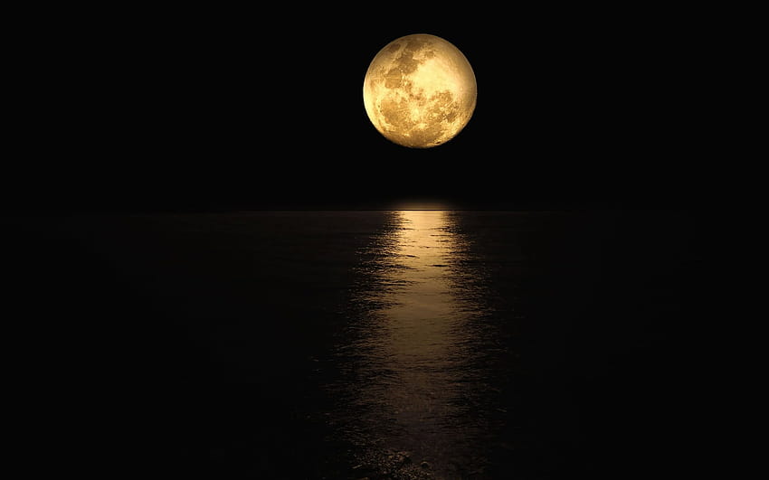 2560x1600 Moonlight Reflection 2560x1600 Resolution , Nature , and Backgrounds HD wallpaper