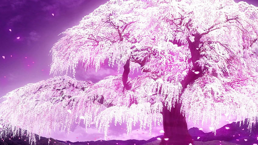 Аниме Cherry Blossom Aesthetic, аниме естетика на розово дърво сакура HD тапет