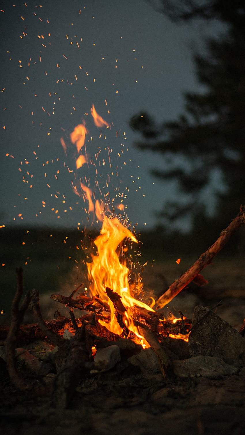 1440x2560 bonfire, fire, sticks, stones, fire people HD phone wallpaper