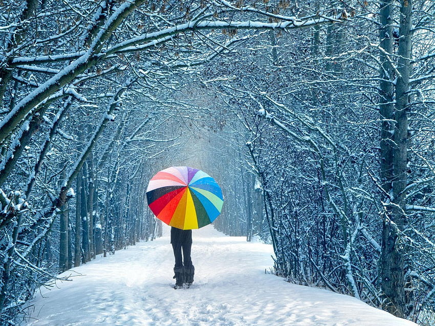 Winter, cold weather HD wallpaper