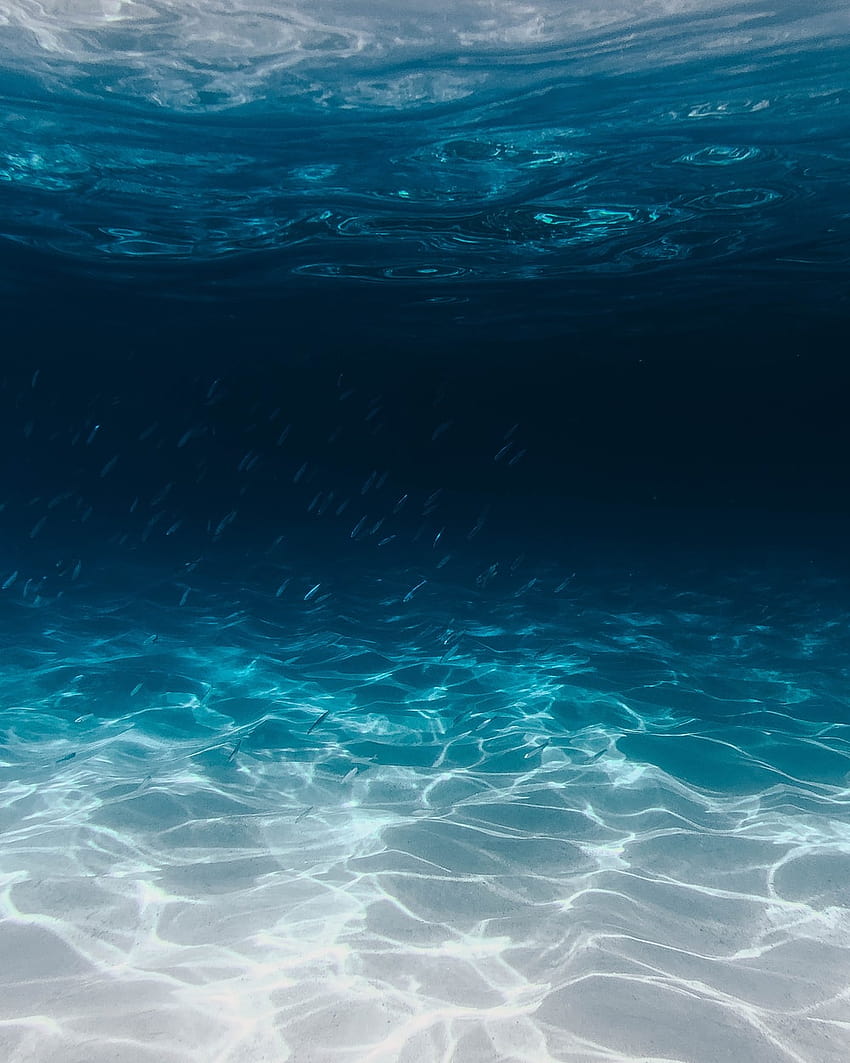 Ocean Floor, sea floor HD phone wallpaper