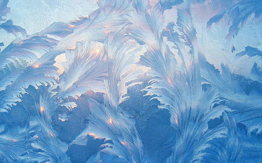 Blue floral 3D, frosty blue polygon HD wallpaper